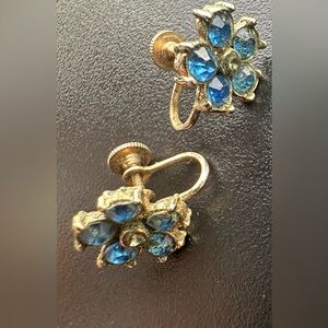 vintage blue rhinestone screw-back earrings.